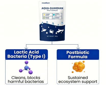 ✨ From Green to Clean Overnight! |⏱️ Crystal Clear in 24 Hours! | toccera® Aqua-Guardian Pro Formula